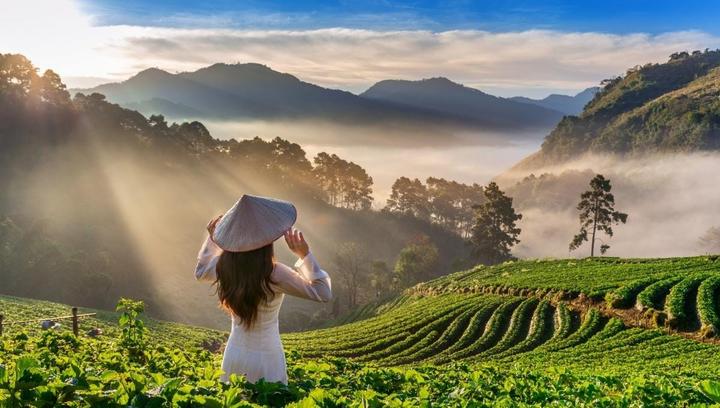 Từ Người xưa dặn trồng chuối sau đến chiến lược content: Hotspot Matrix chia sẻ