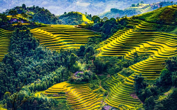 Hotspot Matrix: Biến Cuộc sống của nữ nghệ sĩ đình thành cơ hội marketing đột phá